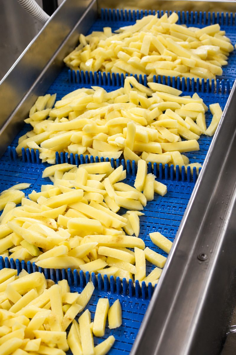 Chip-cut potatoes on the processing line